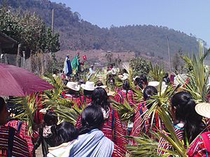 Palm Sunday Procession in Mexico